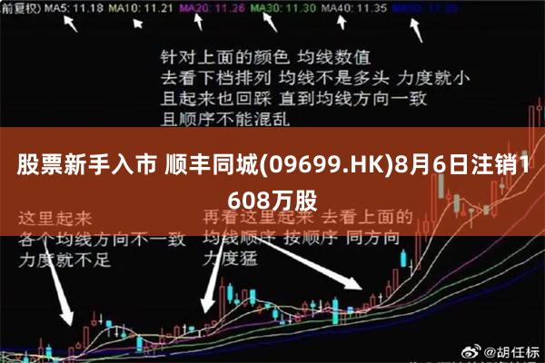 股票新手入市 顺丰同城(09699.HK)8月6日注销1608万股