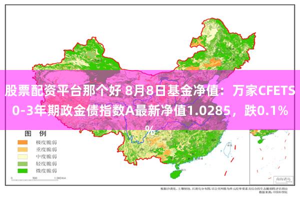 股票配资平台那个好 8月8日基金净值：万家CFETS0-3年期政金债指数A最新净值1.0285，跌0.1%