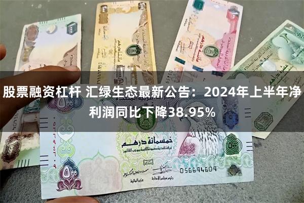 股票融资杠杆 汇绿生态最新公告：2024年上半年净利润同比下降38.95%