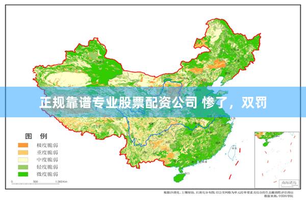 正规靠谱专业股票配资公司 惨了，双罚