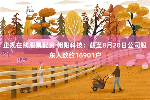 正规在线股票配资 朝阳科技：截至8月20日公司股东人数约16901户