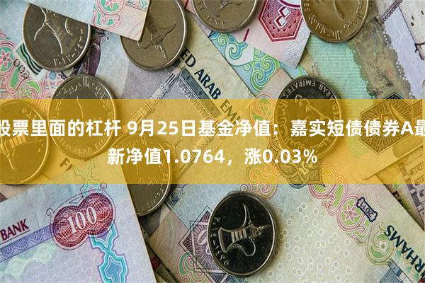 股票里面的杠杆 9月25日基金净值：嘉实短债债券A最新净值1.0764，涨0.03%