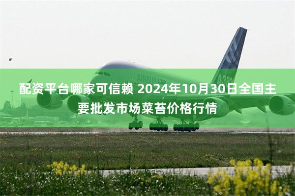 配资平台哪家可信赖 2024年10月30日全国主要批发市场菜苔价格行情