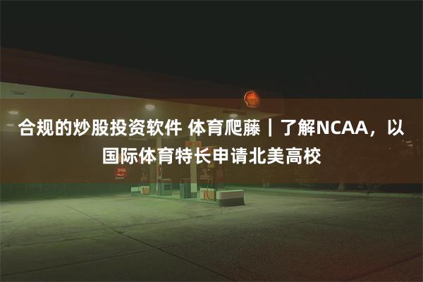 合规的炒股投资软件 体育爬藤｜了解NCAA，以国际体育特长申请北美高校