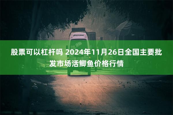 股票可以杠杆吗 2024年11月26日全国主要批发市场活鲫鱼价格行情