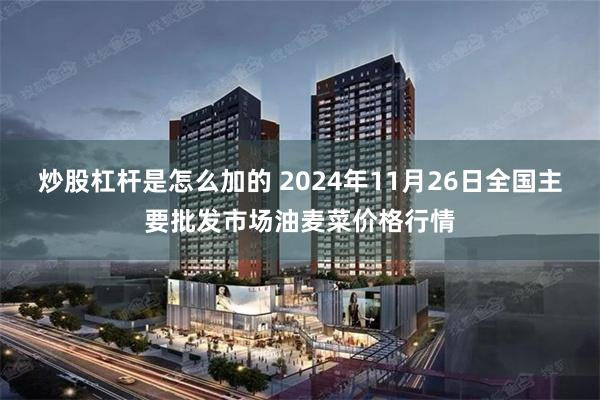 炒股杠杆是怎么加的 2024年11月26日全国主要批发市场油麦菜价格行情