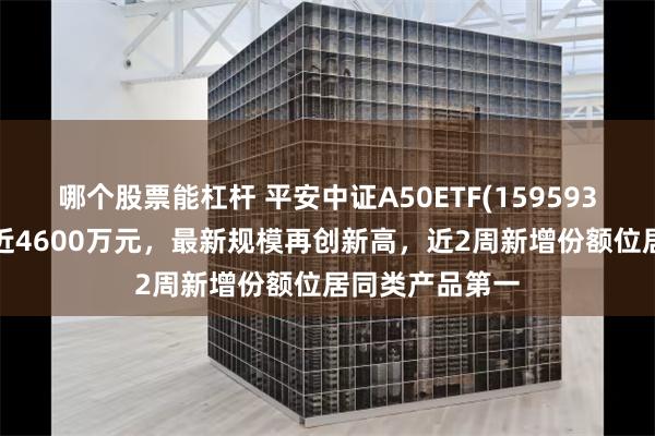 哪个股票能杠杆 平安中证A50ETF(159593)昨日“吸金”近4600万元，最新规模再创新高，近2周新增份额位居同类产品第一