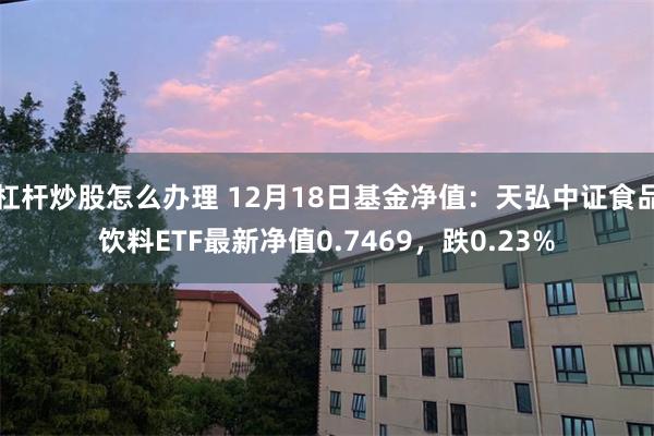 杠杆炒股怎么办理 12月18日基金净值：天弘中证食品饮料ETF最新净值0.7469，跌0.23%