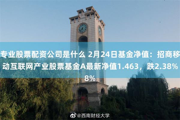 专业股票配资公司是什么 2月24日基金净值：招商移动互联网产业股票基金A最新净值1.463，跌2.38%